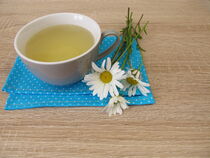 Eine Tasse Tee mit den Blüten der Wiesen-Margerite