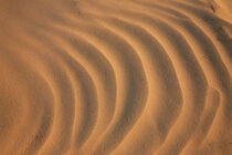 Wind ripples in the sand von Valentijn van der Hammen