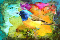 Beautiful Bird Madness by Miki de Goodaboom