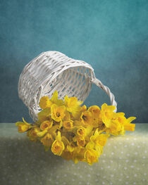 Gelbe Blumen / Yellow Flowers 5(9) von Nikolay Panov