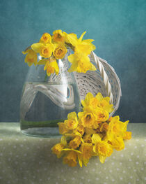 Gelbe Blumen / Yellow Flowers 4(9) von Nikolay Panov