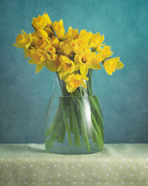 Gelbe Blumen / Yellow Flowers 2(9) von Nikolay Panov