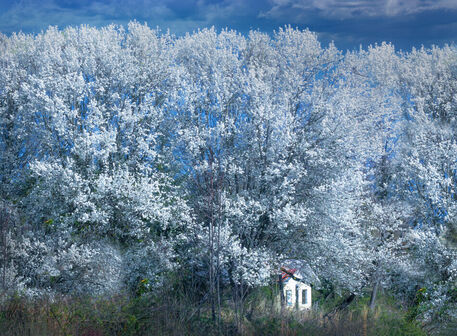 Martins-creek-white-trees-shed-50-end