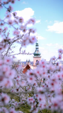 Spring is Prague von Tomas Gregor