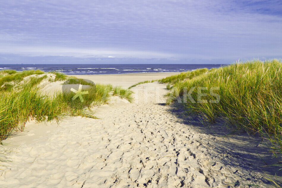 Stranddünen am Oststrand der Insel Baltrum\