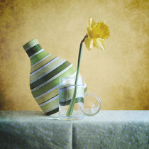 Striped Green Vase and Narcussus * Gestreifte grüne Vase und Narzisse 3(9) by Nikolay Panov