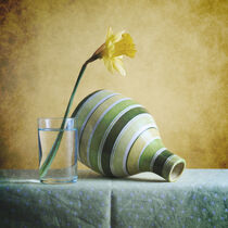 Striped Green Vase and Narcussus * Gestreifte grüne Vase und Narzisse 5(9) von Nikolay Panov
