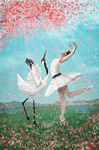 Crane-ballerina2