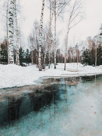 Melting snow von Andrei Grigorev