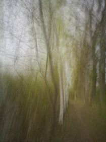 Frühling im Wald. Abstrakt by Iryna Mathes