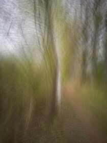 Frühling im Wald. Abstrakt. von Iryna Mathes