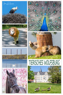 Collage: Tierisches Wolfsburg von Jens L. Heinrich