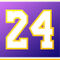 24-purple-yellow-shining