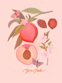 A-peach