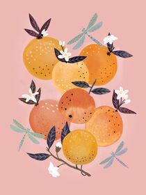 Seven Oranges and three Dragonflies by Elisandra Sevenstar