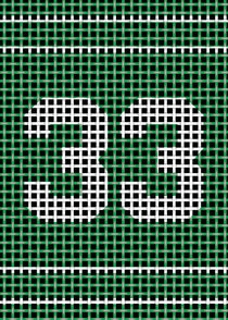 Texturized Number 33 Green and White