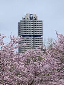 BMW Headquarter zur Kirschblüte  by mytown