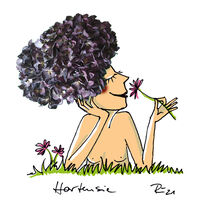 Hortensie, Illustration by Antje Püpke