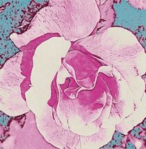 Pink Rose on a Teal Background von eloiseart