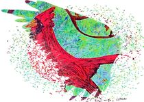 Cardinal Color Burst by eloiseart