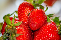 Fruit : Fresh strawberries by Michael Naegele