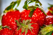 Fruit : Fresh strawberries von Michael Naegele