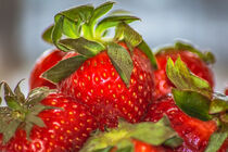 Fruit : Fresh strawberries von Michael Naegele