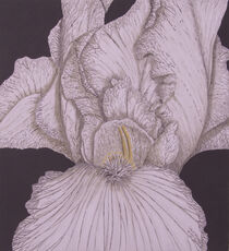 "Blütentraum" von Roland H. Palm