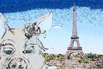 Pig in Paris by eloiseart