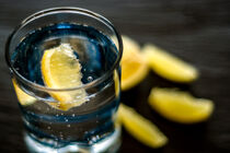 Fruit : Sparkling water with citrus von Michael Naegele