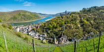 Bacharach mit Stahleck (1) by Erhard Hess