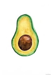 Avocado by Lena Erlmann