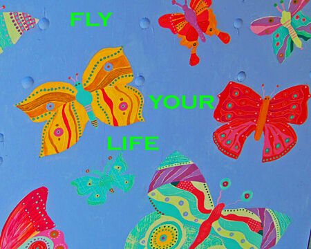 Postcard-2013-fly-your-life