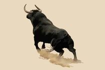 Black Bull by zelko radic