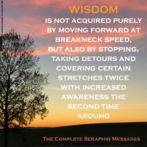 WISDOM IS ACQUIRED BY TAKING DETOURS by Rosie Jackson