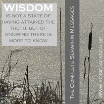 WISDOM IS KNOWING THERE IS MORE TO KNOW von Rosie Jackson