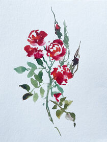 Einfache Rose by Sonja Jannichsen