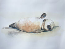 Winkender Seehund by Sonja Jannichsen
