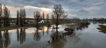 Hochwasser bei Sonnenuntergang by Stefanie Bednarzyk