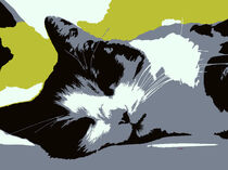 Schlafende liegende Katze, Kopf. Buntes und abstraktes Bild von Thomas Richter