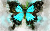 Blauer Bergschwalbenschwanz Schmetterling. von havelmomente