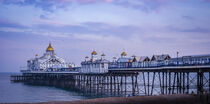 Eastbourne Pier by Margaret Ryan