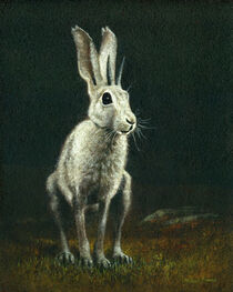 The Horned Hare Of Bodmin Moor by Michael Thomas