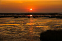Sonnenuntergang im Watt -  Sunset in the mudflats by Markus Hartung