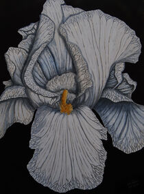 "Blütentraum 2" von Roland H. Palm