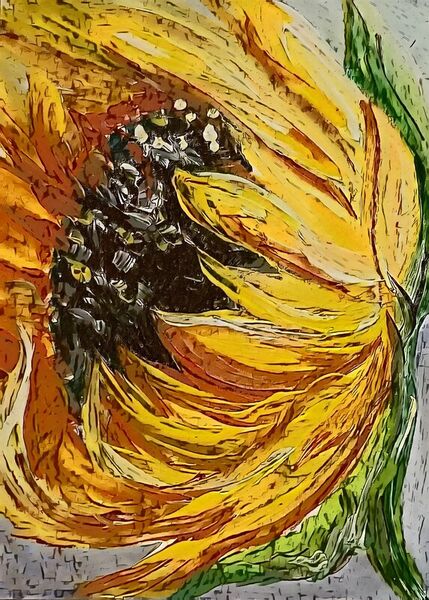 Country-sunflower-hello-sun