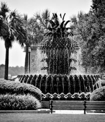 Pineapple Fountain  by O.L.Sanders Photography