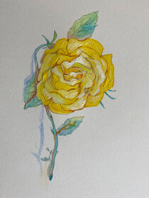Yellow rose by Myungja Anna Koh
