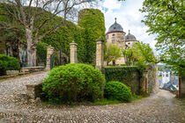 Schloss Gemünden 58 von Erhard Hess
