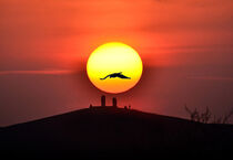 Sonnenuntergäng mit Krähe by Edgar Schermaul